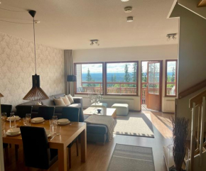 Holiday Home Ylläs Villas, Ylläsjärvi